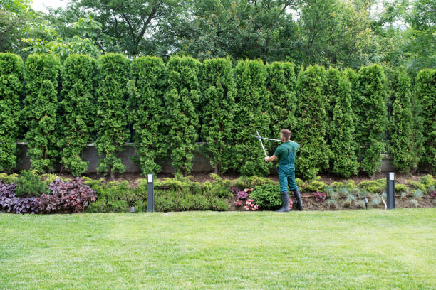 Lawn Watering Services in Big River, CA